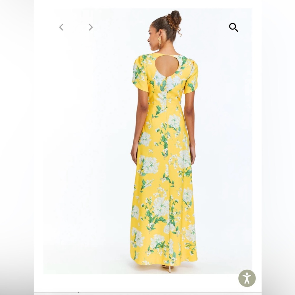 NWT Mestiza NY Katherine Maxi dress - Picture 3 of 11